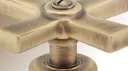 Lacquered Matt Bronze