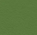 Fern Green