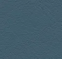 Distant Blue