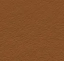 Clay Brown