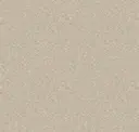 1119.06