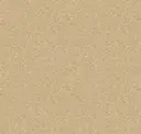 1119.11