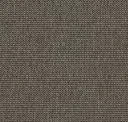 Dark Beige