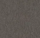 Medium Beige