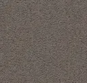 Dark Beige