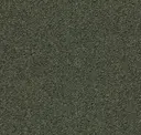 Dusty Green