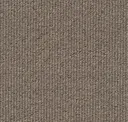 Dark Beige