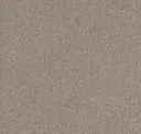 Birch
