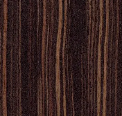 Main