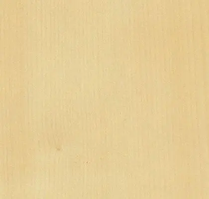 Main