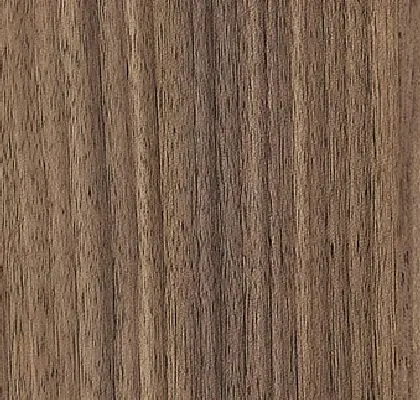 Main