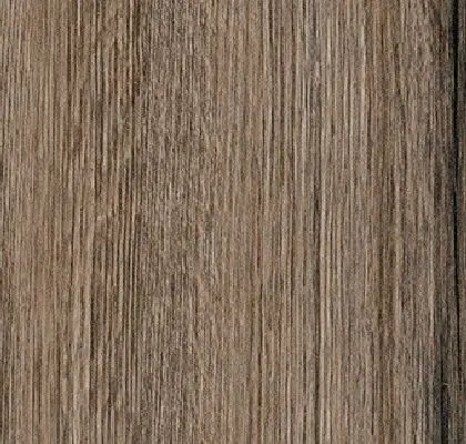 Main