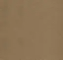 Sahara