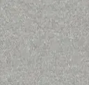 11 Fr