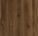 Cocoa Elm