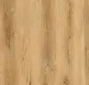 Warm Birch