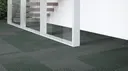 Pine