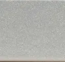 Sparkle Silver