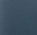 Slate Blue