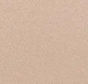 Pastel