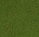 Hedge