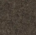 Thicket