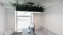 White Painted