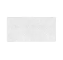 White Painted
