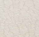 Fossil