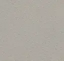 Sidewalk Gray