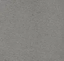 Gull Wind Gray