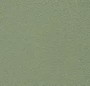 Acadia Green