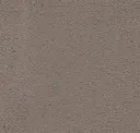 Elephant Gray