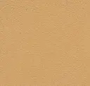 Desert Tan