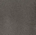 Whale Gray