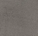 Dior Gray