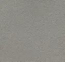 Pigeon Gray