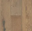 Windy Beach White Oak