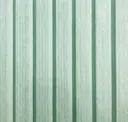 Spearmint