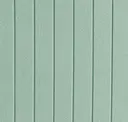 Spearmint