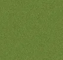 Kermit