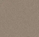 Dust