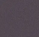 Dusty Silver