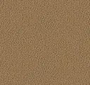 Mojave