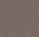 Chestnut