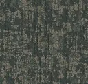Oakmoss