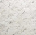 Seashell White