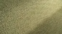 104