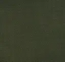 204
