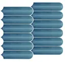Coastal Blue